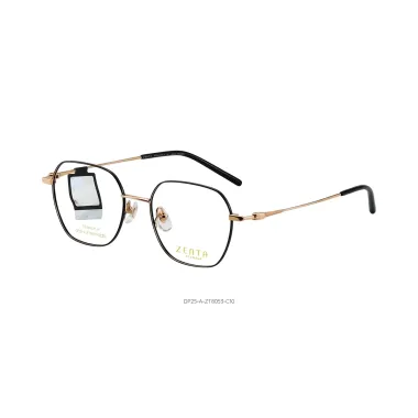 Gọng Kính Zenta DP25-A-ZT8053