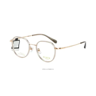 Gọng Kính Zenta DP25-A-ZT8063