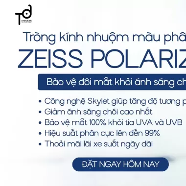 TRÒNG KÍNH NHUỘM MÀU PHÂN CỰC ZEISS POLARIZED