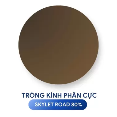 TRÒNG KÍNH NHUỘM MÀU PHÂN CỰC ZEISS POLARIZED