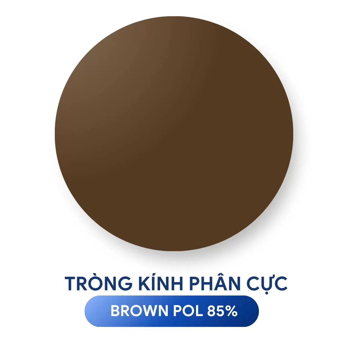 TRÒNG KÍNH NHUỘM MÀU PHÂN CỰC ZEISS POLARIZED